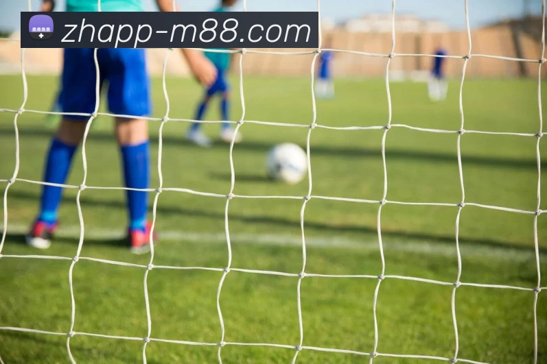 M88明陞官网APP 封面图